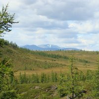 ЯМАЛ. Восточный склон полярного Урала. :: Tata Wolf