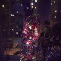 Свет ёлки новогодней :: Дмитрий Никитин