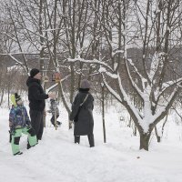 "Простые картинки" :: Владимир Носов
