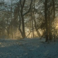 Вечер в парке.......... :: Юрий Цыплятников