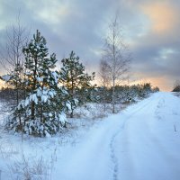 Там на заснеженных дорожках, следы... :: Валерий VRN