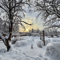 Зимняя дача :: Любовь 