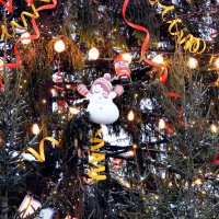 *** :: Евгений Васильев *** :: Евгений Васильев