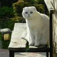 СОСЕД. :: Галина СОСЕД. :: Галина