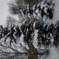 Зима в Москве :: Андрей Лукьянов