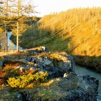 Восточный склон полярного Урала. Ямал. :: Tata Wolf