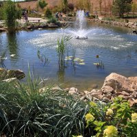 Пруд :: Леонид 