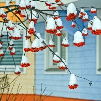 В шапочках :: Валерий Иванович В шапочках :: Валерий Иванович