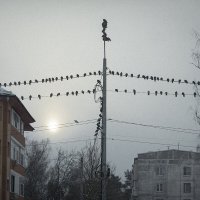 *** :: Владимир Носов *** :: Владимир Носов