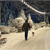 Яшик на последней прогулке 25 года. :: Валерия Комова Яшик на последней прогулке 25 года. :: Валерия Комова