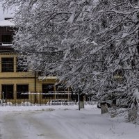 Редко у нас бывают такие зимы :: Игорь Сикорский Редко у нас бывают такие зимы :: Игорь Сикорский