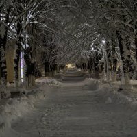 Редко у нас бывают такие зимы :: Игорь Сикорский