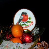 Удачи в Новом году. :: nadyasilyuk Вознюк