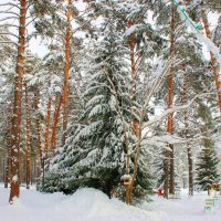 В городском парке :: Галина Нестратова