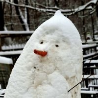 Кладбищенское приведение в новый год :: ИРЭН@ .