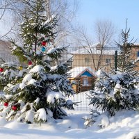 Про дворы новогодние.. :: Андрей Заломленков