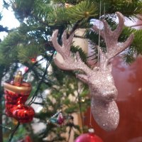 Ёлка в доме 2026 :: Галина Минчук