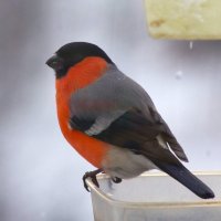 ... :: Юрий Куликов ... :: Юрий Куликов