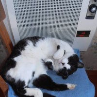 Тёплое местечко :: Наталья Тёплое местечко :: Наталья