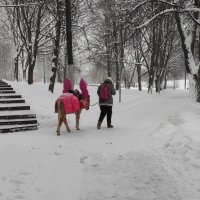 Грустный пегасик :: Игорь Ч. Грустный пегасик :: Игорь Ч.