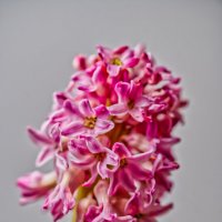 (°-°) :: Jakob Dick (°-°) :: Jakob Dick