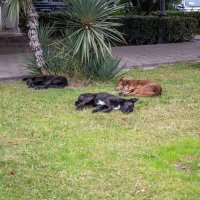 ... :: Сергей Яковлев