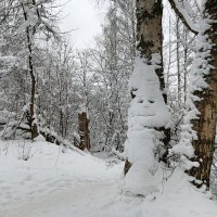 стоит статуя новогодняя :: Владимир 