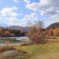 Осенние ландшафты :: елена беликова