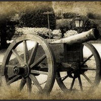 pushka :: Denis Lipatov