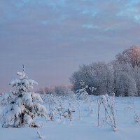 *** :: Андрей Дурапов