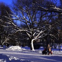 Снежное начало года. :: Василий Палий Снежное начало года. :: Василий Палий