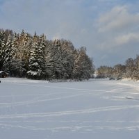 Подмосковье сегодня :: Вадим 