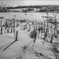 Рыбачок :: Наталья Rosenwasser