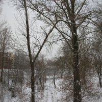 Кронштадт. Овраг Петровского дока :: Наталья Герасимова