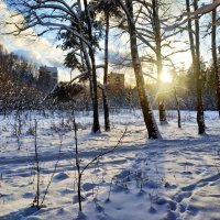 Грядут Рождественские морозы, но пока -2 :: Андрей Лукьянов Грядут Рождественские морозы, но пока -2 :: Андрей Лукьянов