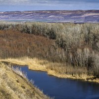 Окрестности :: Игорь Сикорский