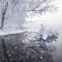 Снежный цветок :: Марина Фомина.