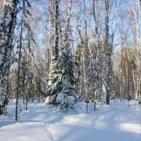 В городском парке :: Галина Нестратова