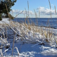 Про ледяную синеву :: AleksSPb Лесниченко