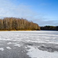 Природа в конце декабря. :: Милешкин Владимир Алексеевич 