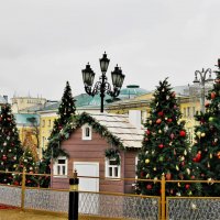 ЕЛОЧНЫЙ ХОРОВОД НА МАНЕЖНОЙ :: Валентина 