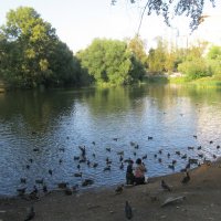 В Харитоновском парке :: Елена Шаламова В Харитоновском парке :: Елена Шаламова