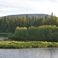 Тима Из со стоянки Петный. :: ВикТор Быстров