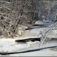 *** :: Aleksandr Gal