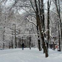 Ранним утром в парке :: Галина 