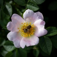 *** :: Александр. AVG100 ---