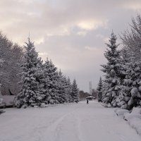 Парк Южный, Калининград :: Рита Симонова