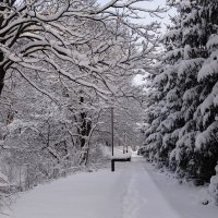 Парк Южный, Калининград :: Рита Симонова