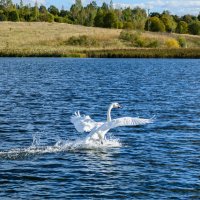 Есть касание! :: Александр Тихомиров