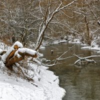 На речке Песочной, Истра :: Светлана 